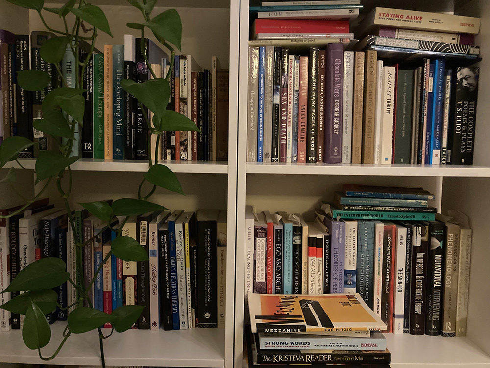 Bookshelf Psychotherapy Materials